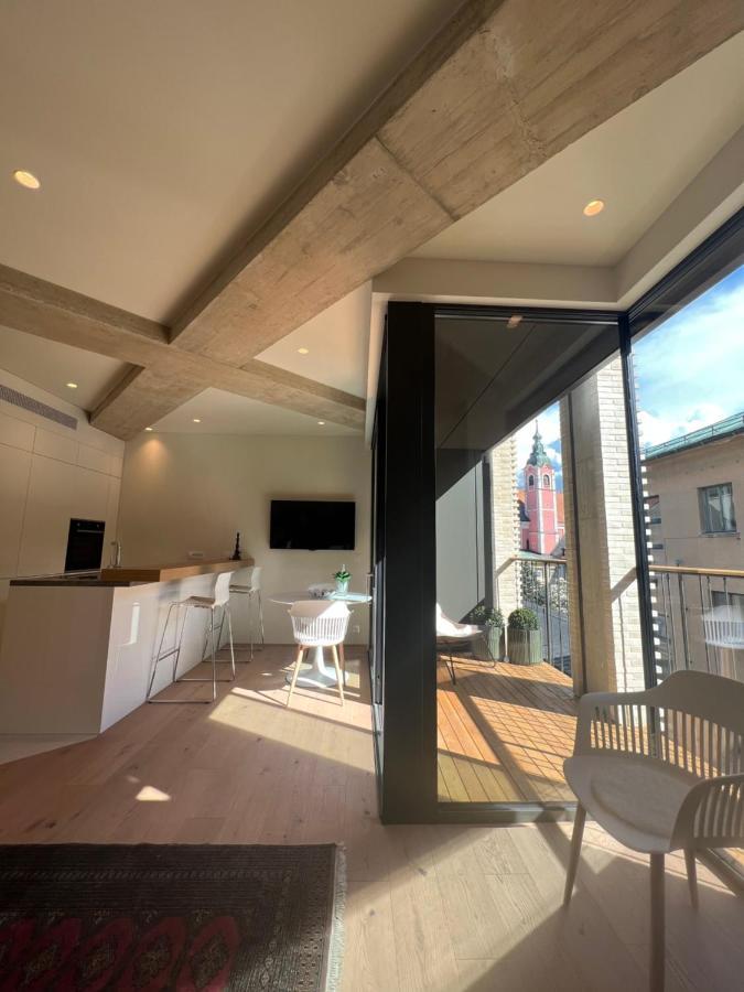 Castle View Luxury Suite 卢布尔雅那 外观 照片